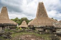 Typical houses with tall roofs, Kodi, Sumba Island, Nusa Tenggara Royalty Free Stock Photo